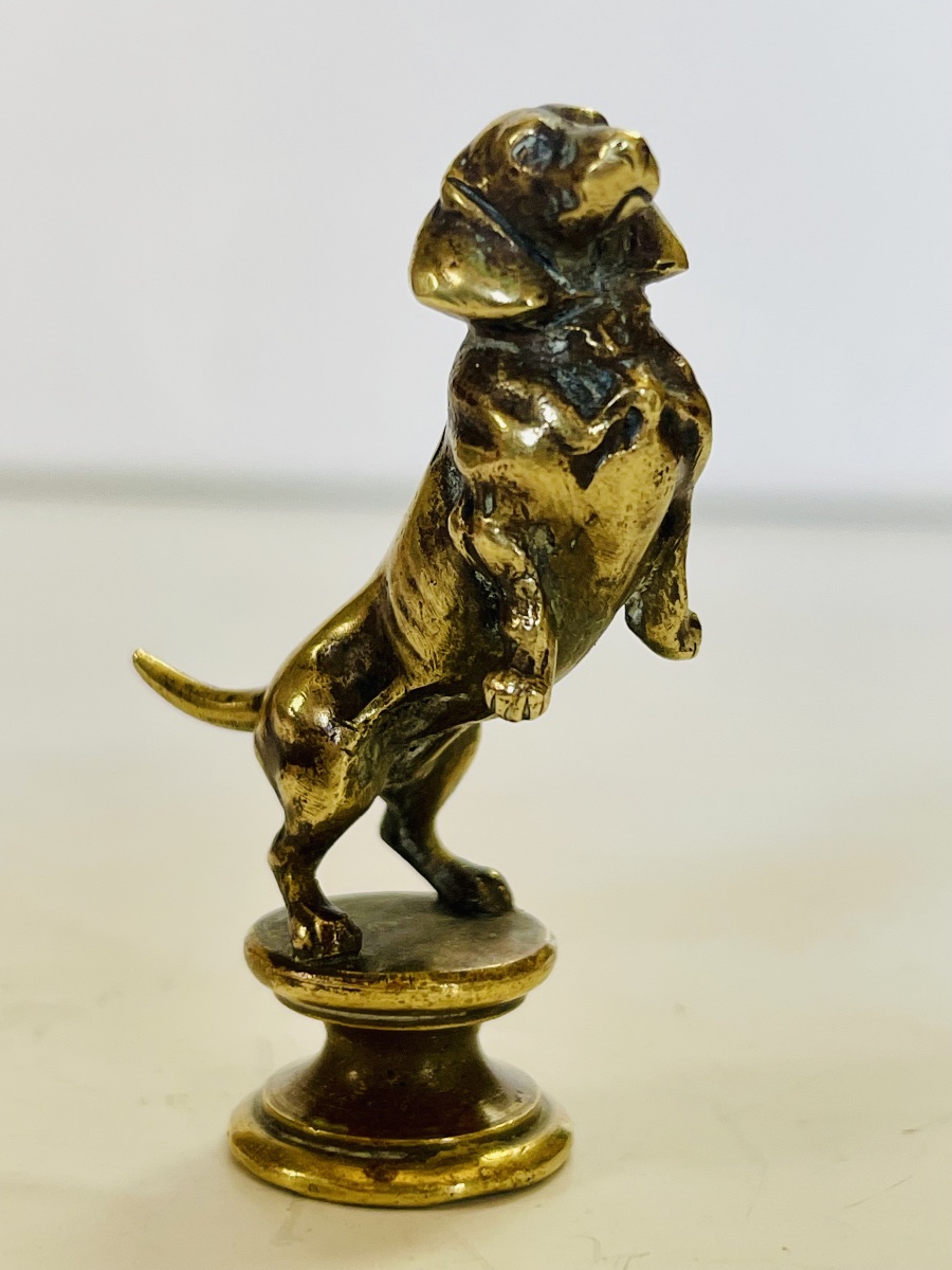 Basset Seal -photo-3